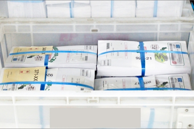 選べるDMパック