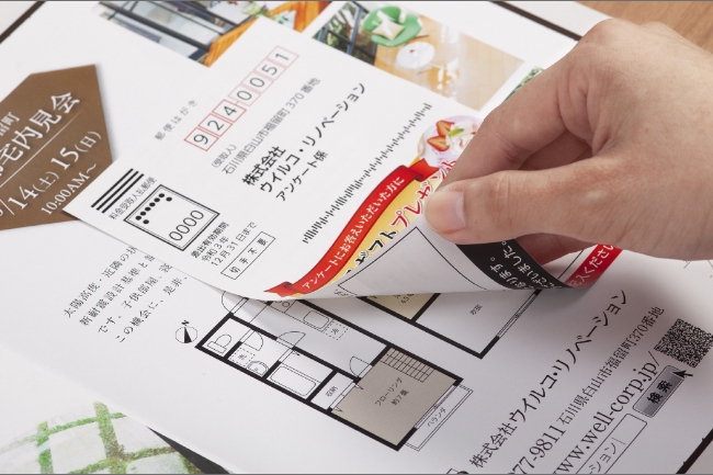 選べるDMパック