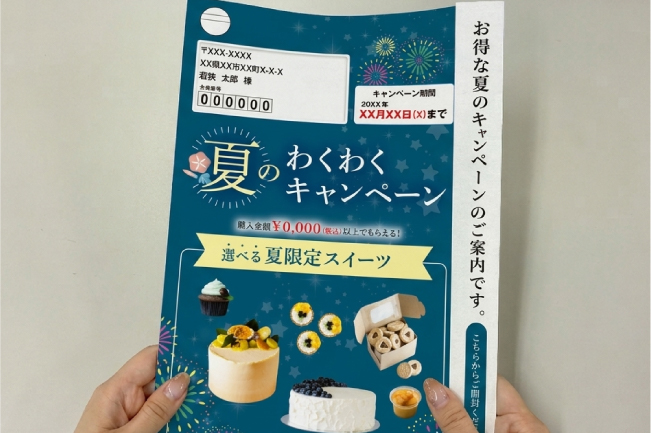 冊子DM