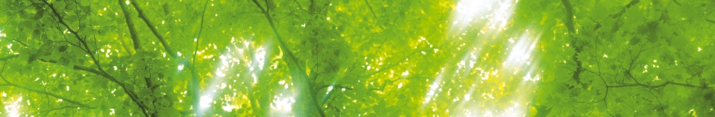 環境にやさしいプラゼロファイル成功事例