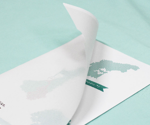 ほんのり透けるタイプ