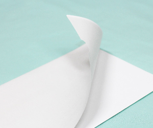 プリントなしタイプ